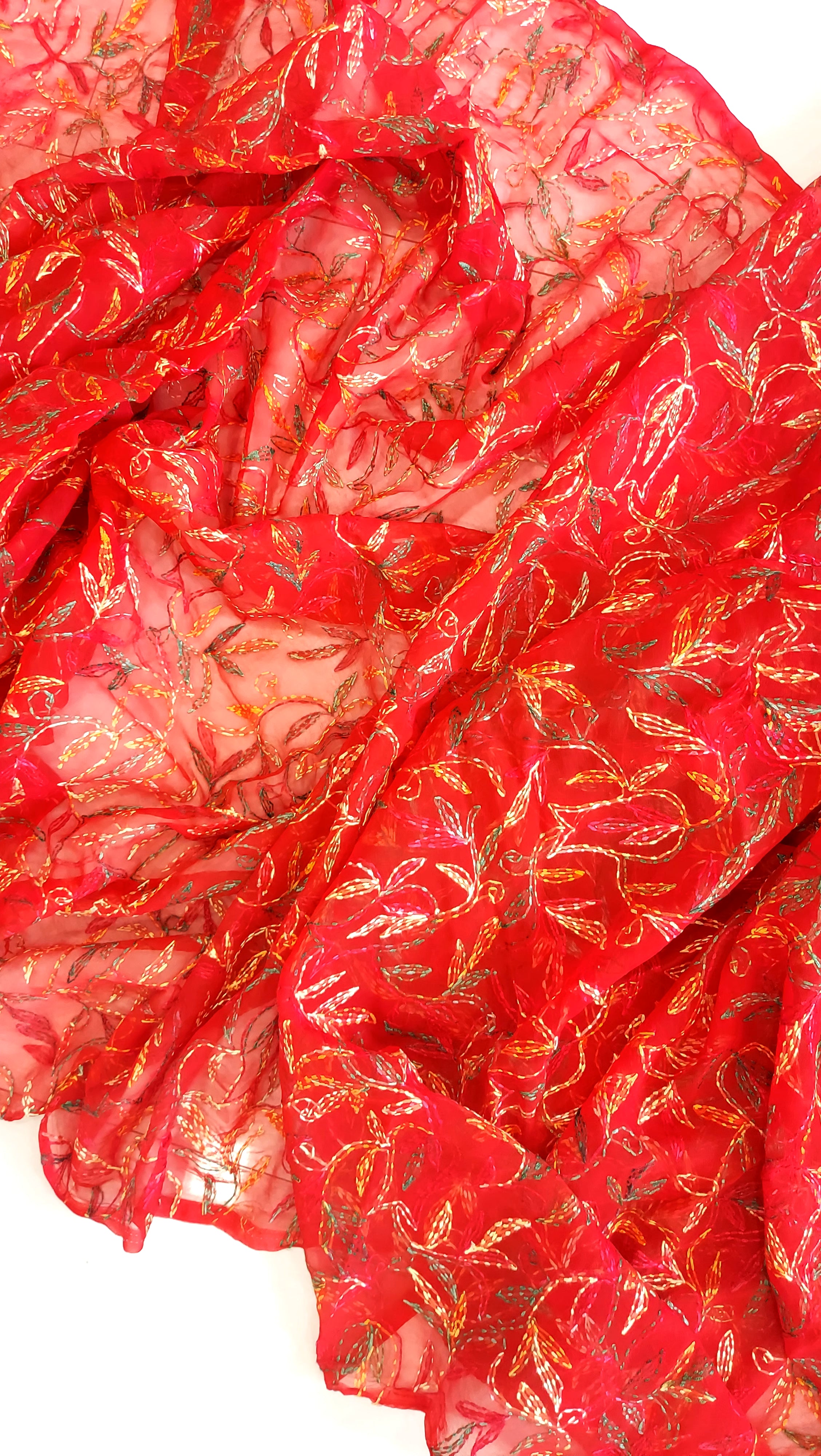Multi Color Thread Tepchi Work Chikankaari Saree-Red