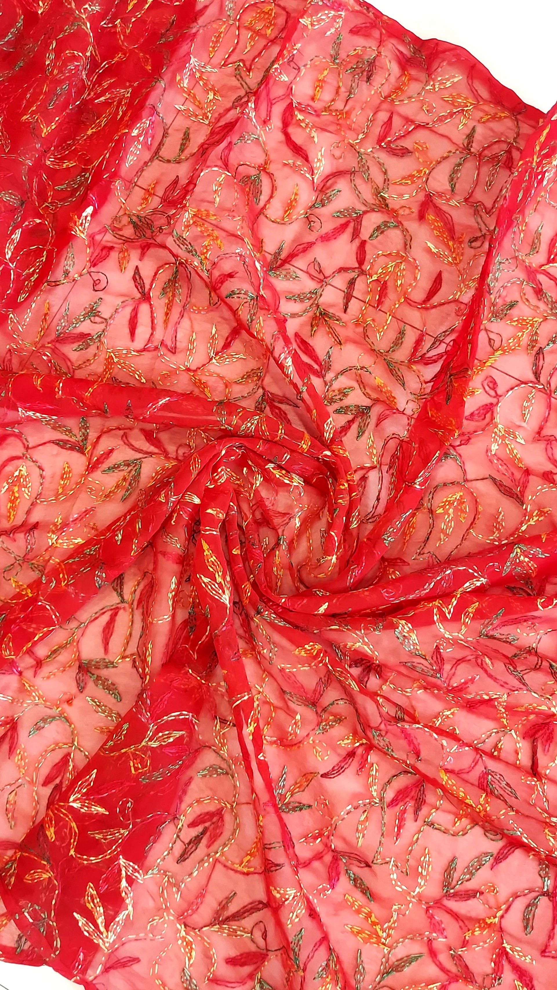 Multi Color Thread Tepchi Work Chikankaari Saree-Red