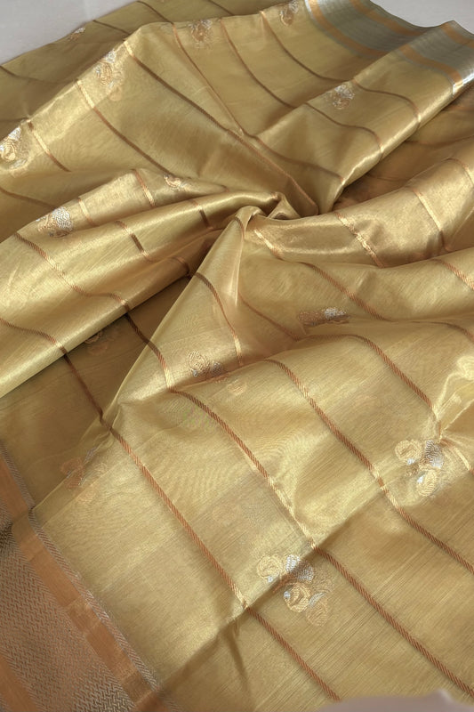 Chanderi Katan Tissue Silk Saree - Pastel lime