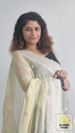 Load image into Gallery viewer, Banarasi Chiffon Saree- Pale Yellow Saree
