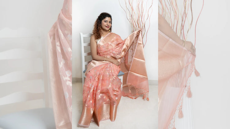 Banarasi Semi Organza