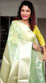 Load image into Gallery viewer, Semi Organza Banarasi Saree- Pista Green
