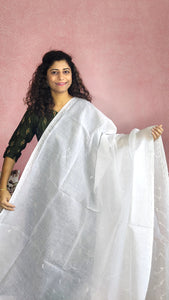 Chikankari Cotton Saree-White