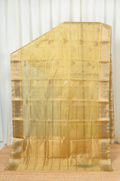 Chanderi Katan Tissue Silk Saree - Pastel lime