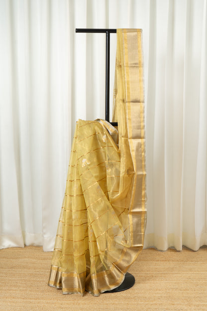 Chanderi Katan Tissue Silk Saree - Pastel lime