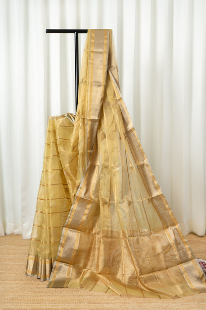 Chanderi Katan Tissue Silk Saree - Pastel lime