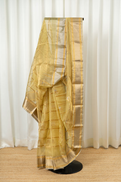 Chanderi Katan Tissue Silk Saree - Pastel lime