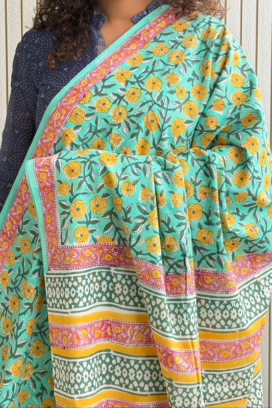 Hand Block Print Pure Cotton Saree