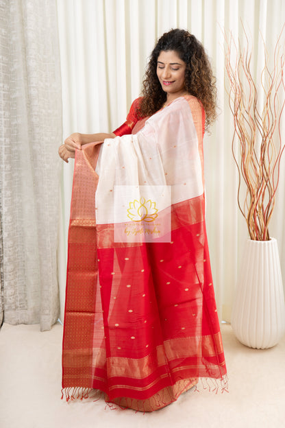 Maheshwari Silk Cotton Saree - Off White