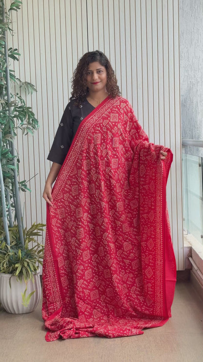 Hand Block Print Pure Cotton Saree