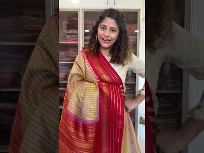 Handwoven Gadwal Pure Silk Saree - Pale Gold