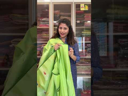 Handwoven Gadwal Pure Silk Saree - Pastel Green