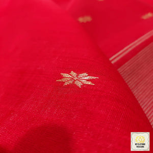 Maheshwari Silk Cotton Saree - Red