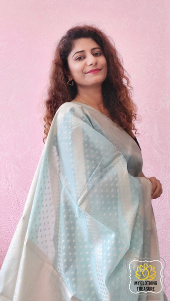 Zari Checks Patola Silk Pastel Blue Saree – Sunasa