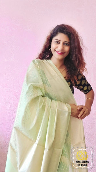Pastel Green Gold Zari Soft Banarasi Silk Saree