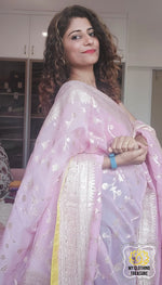 Load image into Gallery viewer, Organza Banarasi Saree- Baby Pink Saree
