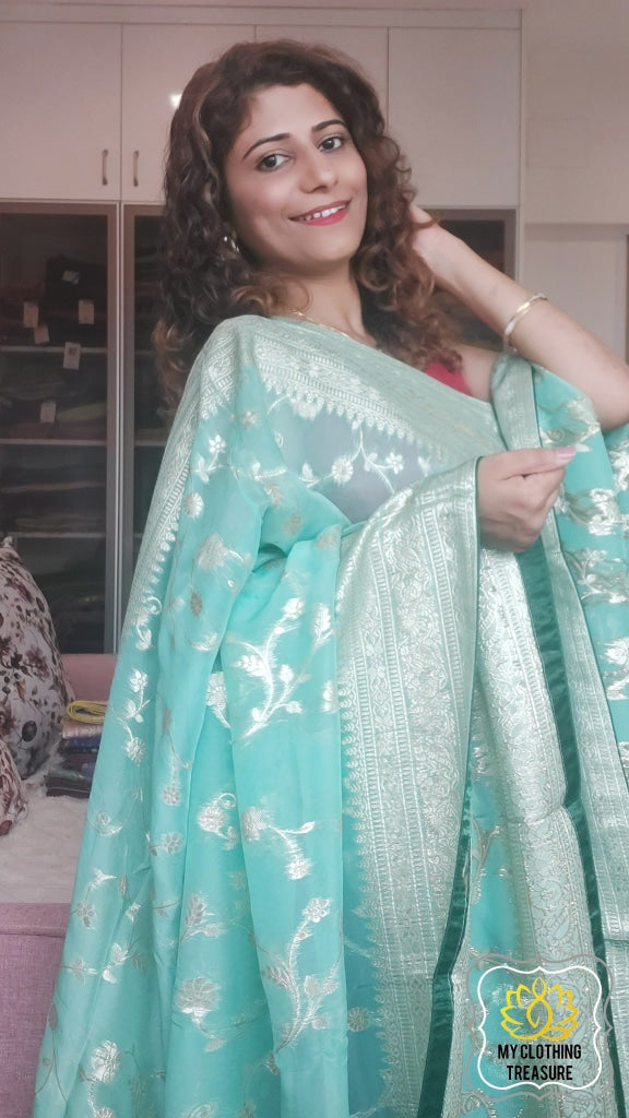 Organza Banarasi Saree- Pastel Green Saree