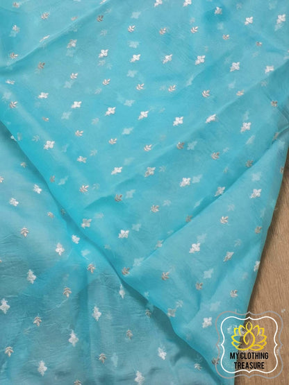 Velvet Leaves On Organza- Blue Saree